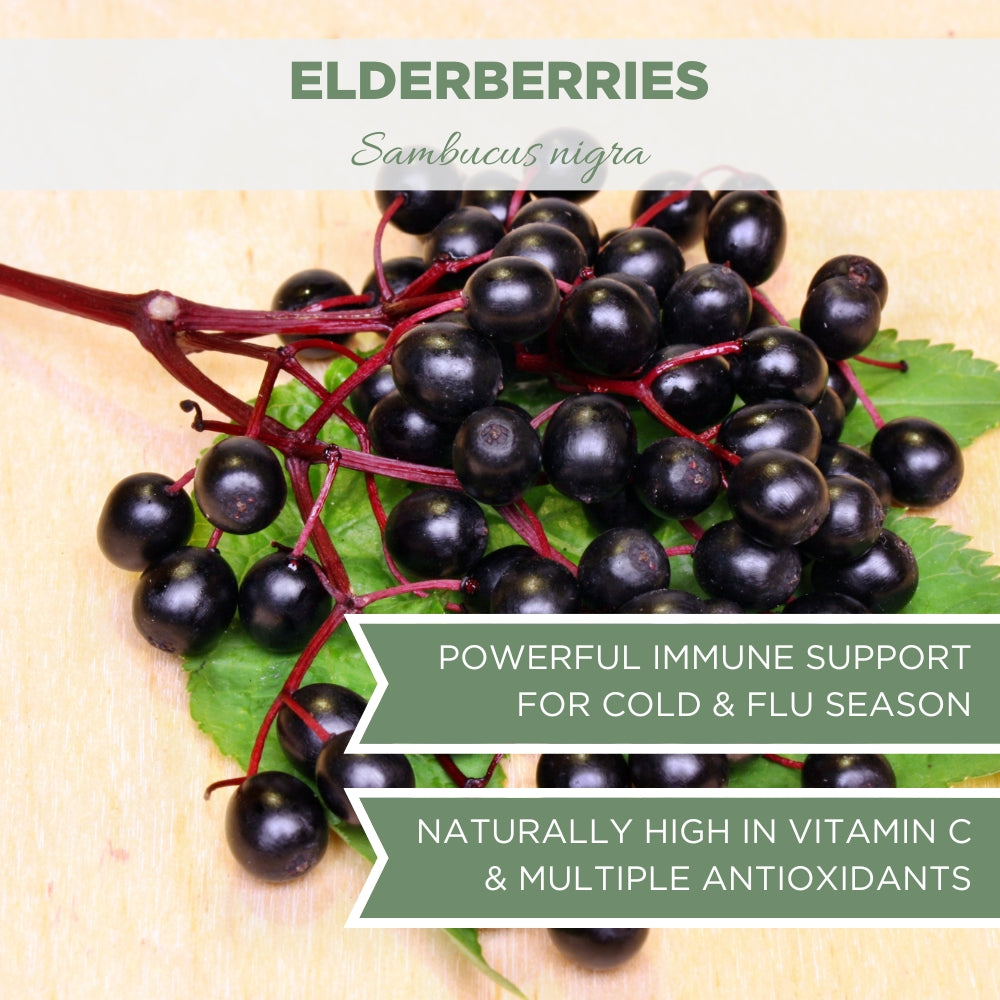 elderberry syrup